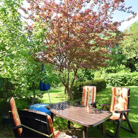 Hohegeiß Cozy Apartment In Braunlage Near Forest חדר תמונה