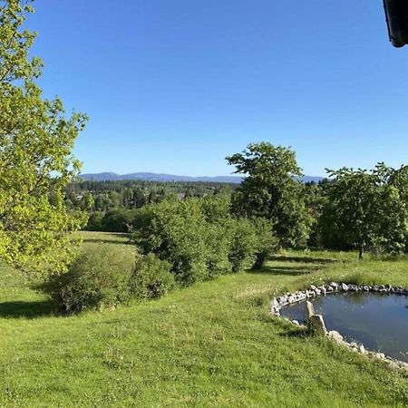 Hohegeiß Cozy Apartment In Braunlage Near Forest מראה חיצוני תמונה