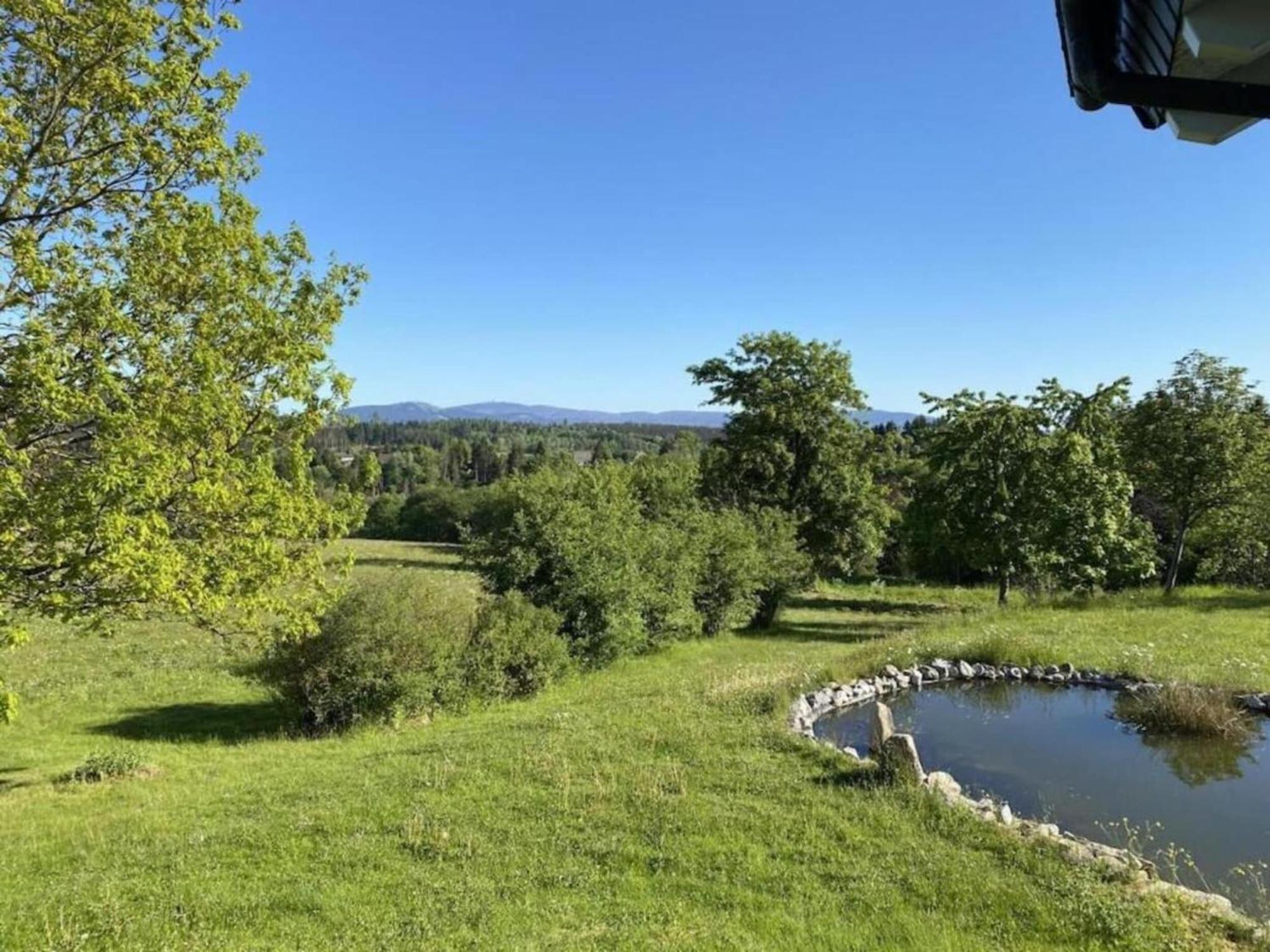 Hohegeiß Cozy Apartment In Braunlage Near Forest מראה חיצוני תמונה