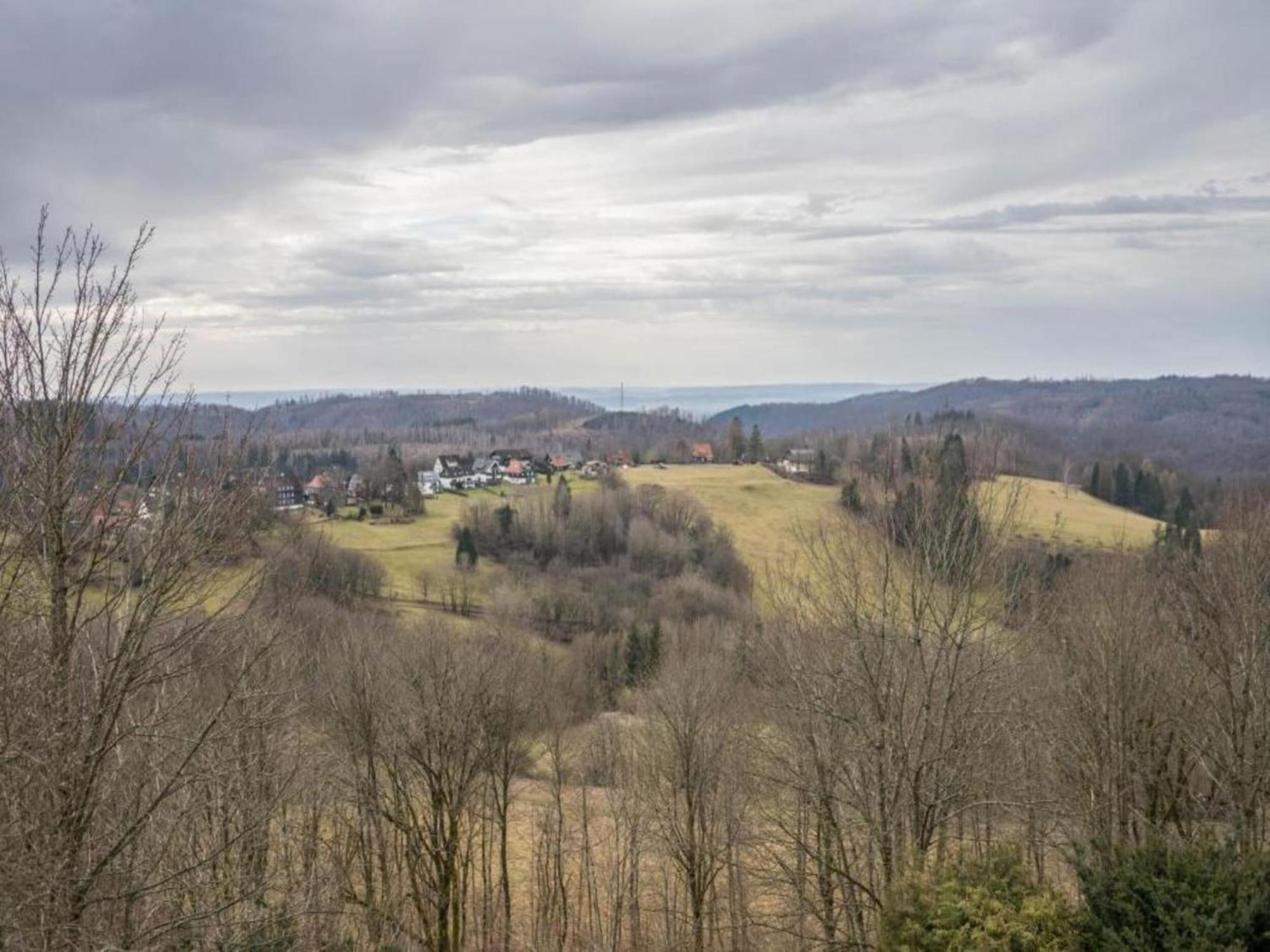 Hohegeiß Cozy Apartment In Braunlage Near Forest מראה חיצוני תמונה