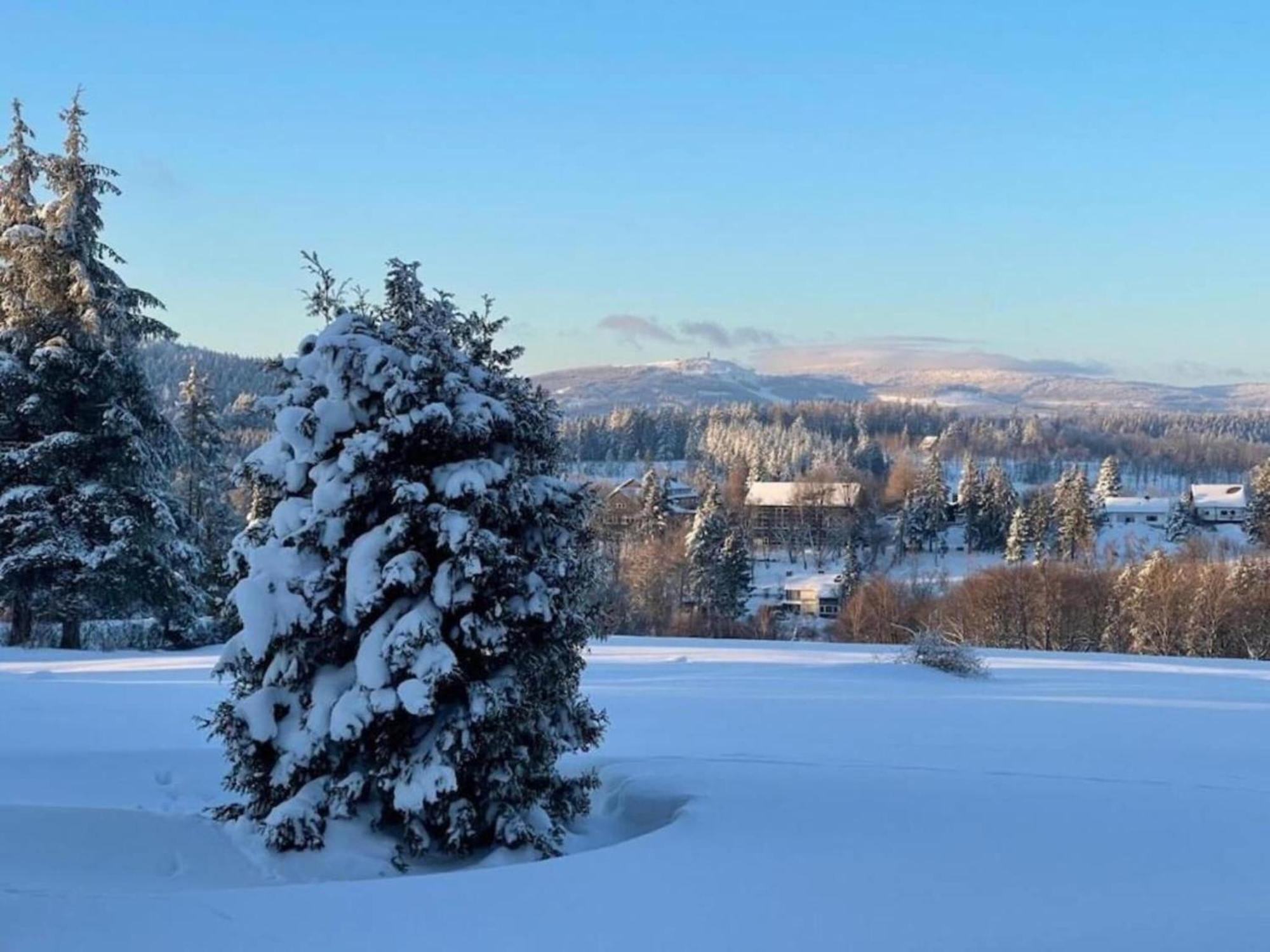 Hohegeiß Cozy Apartment In Braunlage Near Forest מראה חיצוני תמונה