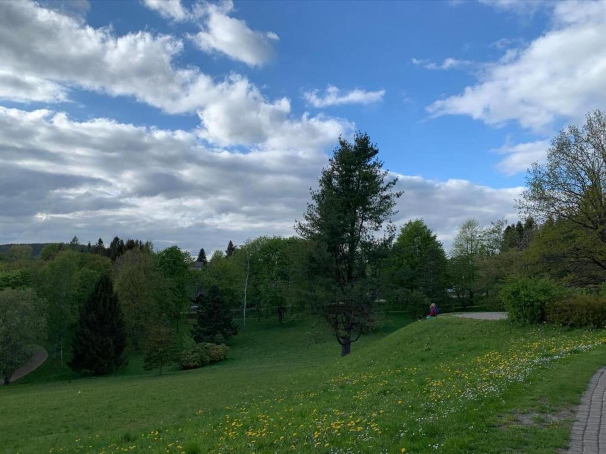 Hohegeiß Cozy Apartment In Braunlage Near Forest מראה חיצוני תמונה