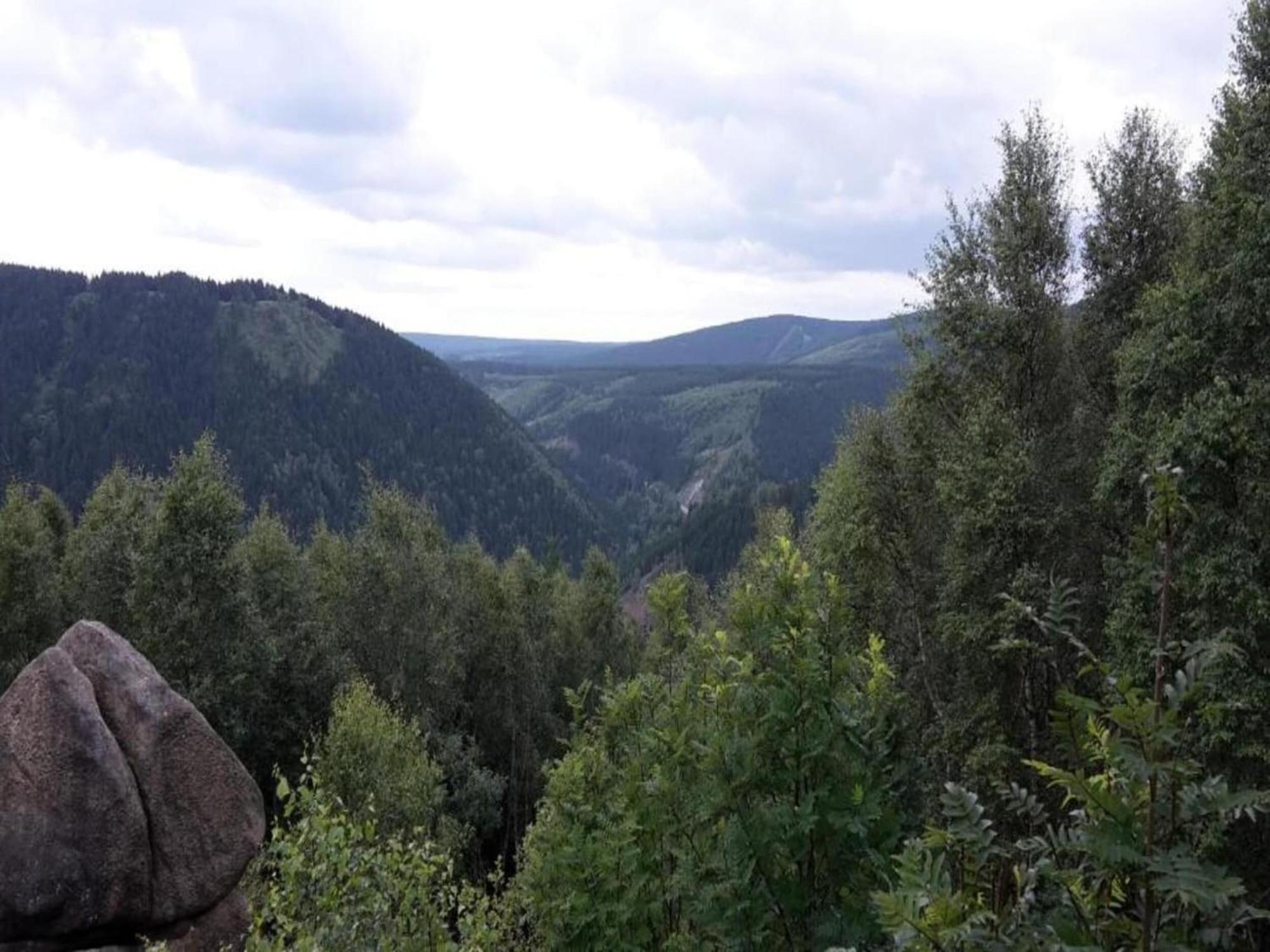 Hohegeiß Cozy Apartment In Braunlage Near Forest מראה חיצוני תמונה