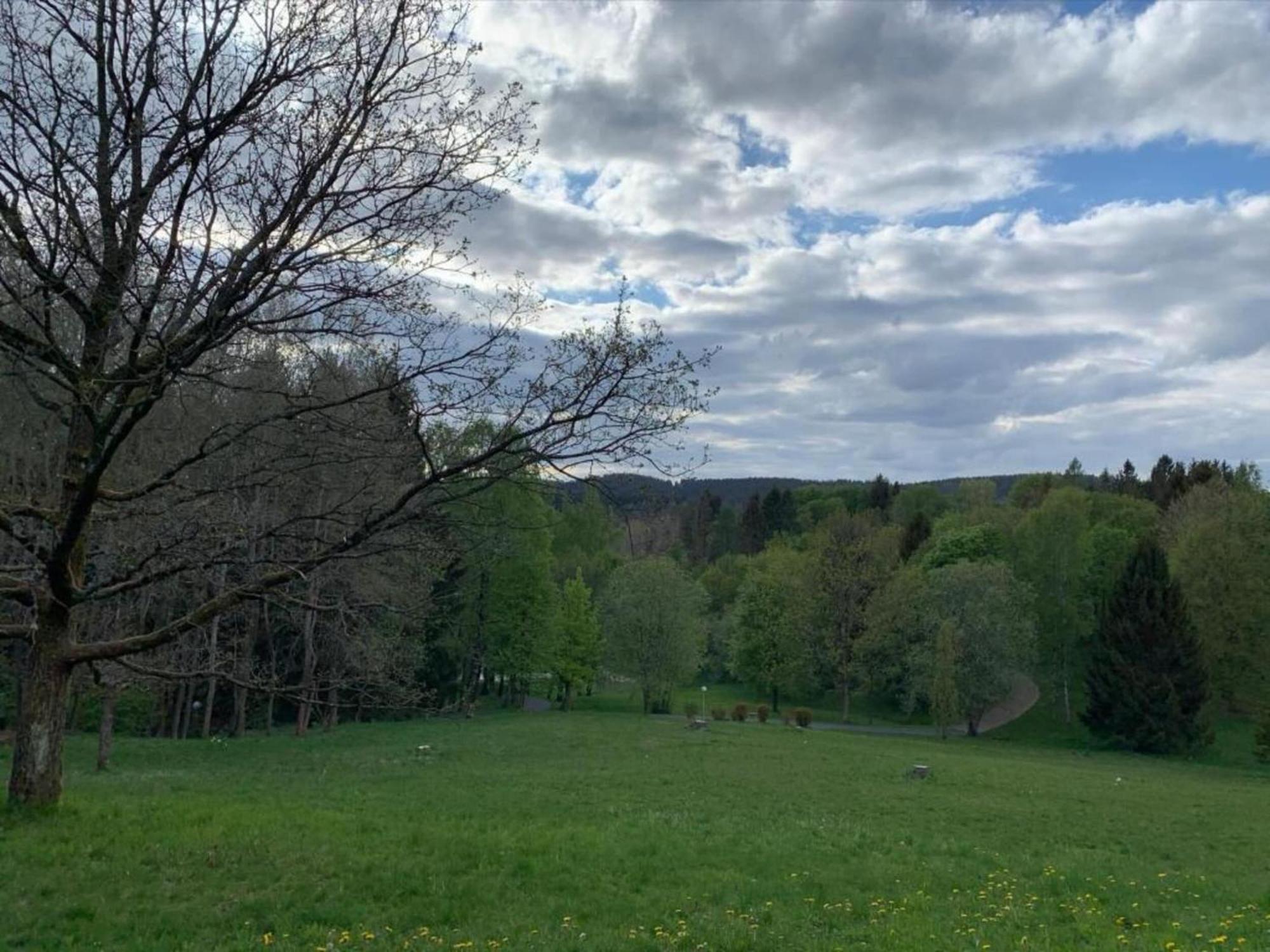 Hohegeiß Cozy Apartment In Braunlage Near Forest מראה חיצוני תמונה