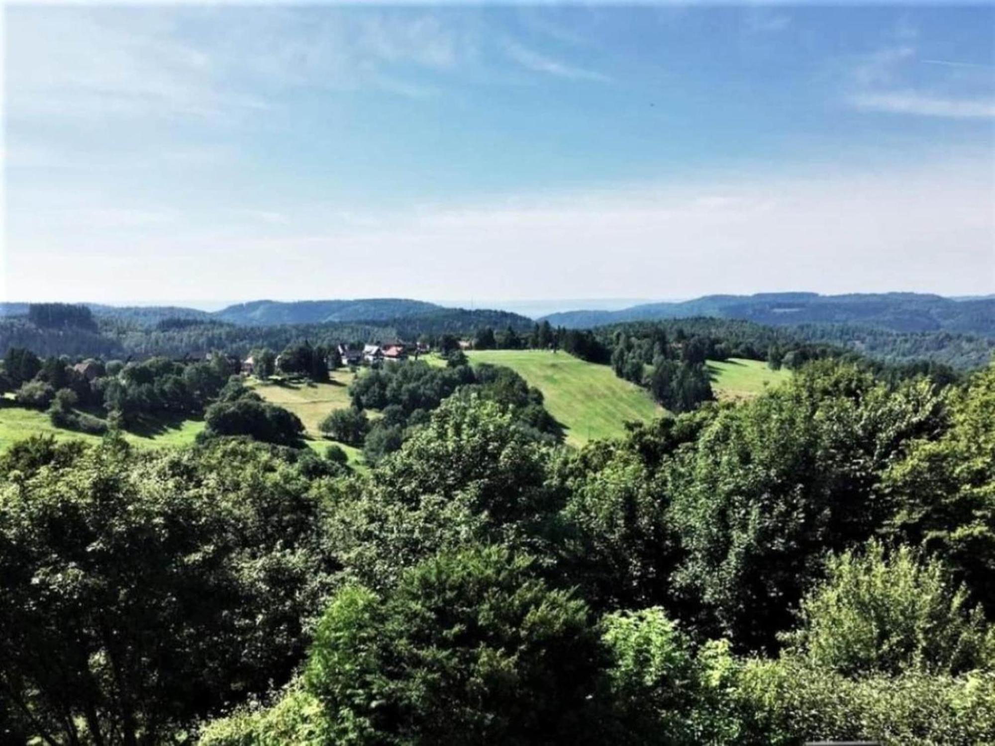 Hohegeiß Cozy Apartment In Braunlage Near Forest מראה חיצוני תמונה
