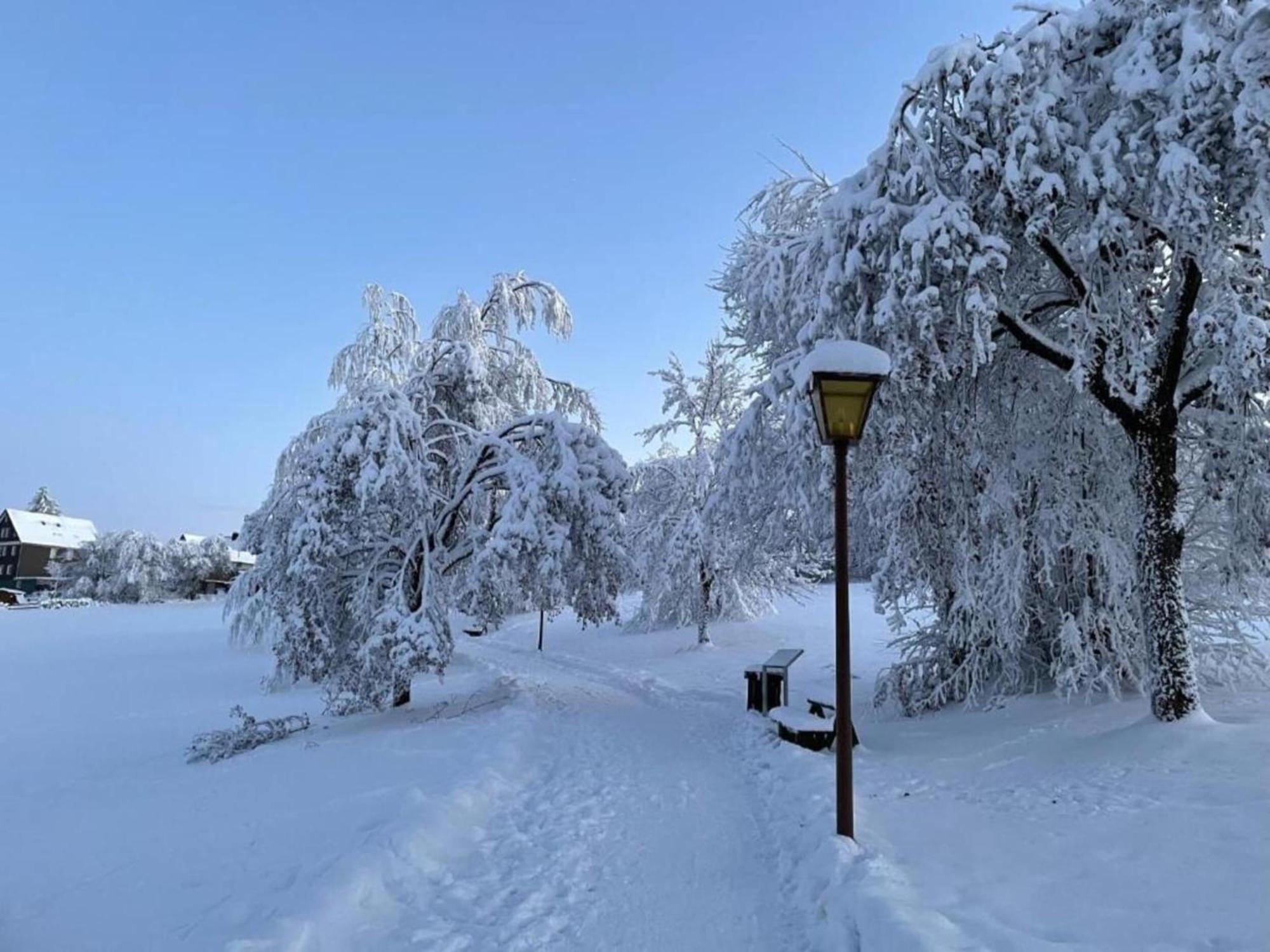 Hohegeiß Cozy Apartment In Braunlage Near Forest מראה חיצוני תמונה