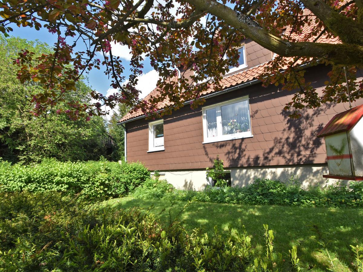 Hohegeiß Cozy Apartment In Braunlage Near Forest מראה חיצוני תמונה